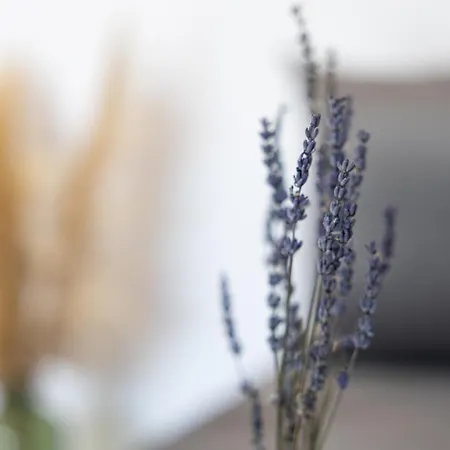 Casa Il Megliore 阿尔戈斯托利翁